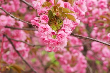 苏州吴江区线下个人借款平台一站式服务，轻松解决资金难题
