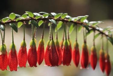 苏州吴江区零用贷短借：轻松解决临时资金需求