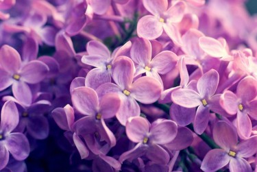 苏州吴江区企业急用钱贷款攻略：快速融资解燃眉之急